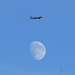 [https://en.wikipedia.org/wiki/File:Destination-moon-movie-poster-md.jpg Destination moon?] 
No, Aéroport International de Genève