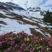 Die beiden Ziele im blumigen Blick