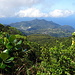 Zumindest habe ich heute eine gute Sicht auf die Südküste und die etwas niedrigeren Berge der Monts Caraibes.