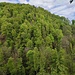 Ausblick auf die gegenüber liegende Talseite