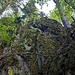 Wäre ein schöner Kletterfelsen, der aber nicht genutzt bzw, genutzt werden darf.