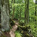 An den Engstellen, die meist von Kletterfelsen geprägt werden, ist teilweise Schwindelfreiheit ratsam.