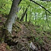 Steiler Abschnitt am Kösslbachweg