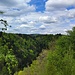 Schöner Ausblick über das Kösslbachtal zum Haugstein, der höchsten Erhebung des Sauwaldes. Das Bachbett liegt hier fast 150 hm unter dem Standort.