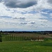 Blick nach Süden ins Hausruckviertel