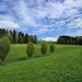 Rückblick, rechts ist die genutzte Traktorspur zu erkennen.