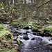 Für ein paar Minuten gehe ich am Kleinen Kösslbach entlang. Hier mündet von rechts ein kleinerer Seitenbach in den Kösslbach.