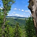 Auf dem ausgesetzten Weg zur Burgruine Burgstall konnte ich einen Ausblick auf die andere Donauseite (Mühlviertel) erhaschen.