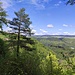 Ausblick von den Ruhebänken der Burgruine ins Kösslbachtal, das in diesem Bereich als Naturschutzgebiet ausgewiesen ist. 