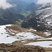 eine lange Wiese