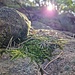 Von der Sonne begleitet beginnt auch der zweite Wandertag.