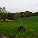 bei Camps