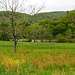 aufgestaute Cère bei Laval