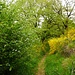 Wanderweg nach Gagnac