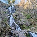 Todtnau, la cascade (gratuite)