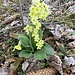 hübsches Arrangement
