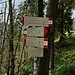 Dopo pranzo, ci affrettiamo a scendere, il rifugista ci avvisa di un passaggio di una seconda perturbazione oggi. Torniamo alla Bocca d'Erna e scendiamo verso il Rifugio Stoppani