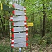 Scendiamo poco sotto la funivia e seguiamo le indicazioni per il Passo del Cammello (1:45)