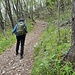 Sentiero per Passo del Cammello