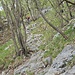 Sentiero per Passo del Cammello