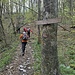 Sentiero per Passo del Cammello