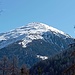 Blick aus dem Bergwald