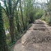 Am River Medway entlang. Der Bridleway ist etwas uneben.