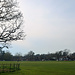 The 'commons' in Leigh