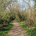 Am River Medway