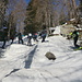La salita nel bosco.