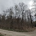 Da im Wald liegt der höchste Punkt vom Dornsberg.