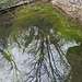 Deutschlands schüttungsreichste Karstquelle. Gespeist vom Wasser der Donau, die damit in den Rhein fließt.