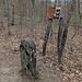 Im Wald eine Passage, vllt entlang des Grenzverlaufs, der durch diesen Stein angezeigt wird. Er grenzte bereits 1751 das Stadtgebiet von Aach von der Herrschaft Langenstein ab.