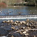 In Bakewell