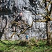 Eine Kletterin am Werk