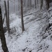 bis ein schmaler Pfad nach links quert