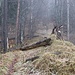 dann geht es aus dem Graben heraus auf eine Rippe, hier bereits wieder flacher