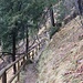 Steig oberhalb der Kienbachklamm
