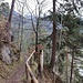 überm Kienbachklamm hinab