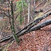 der Pfad führt überm Graben dahin, Hindernisse können überstiegen werden