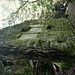 Ruine unterhalb Cossüm
