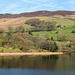 Derwent Reservoir