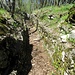 Camminamenti della LInea Cadorna
