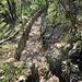 Camminamenti della LInea Cadorna