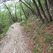 Largo sentiero verso valle.