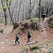 Molto bello anche questo tratto di sentiero nel bosco.