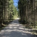 Beliebter Weg für Wanderer und Radlfahrer.