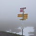 Dicke Nebel auf der Vorder Höhi.