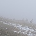 Komische Gestalten im Nebel.