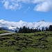 Grün und blau.